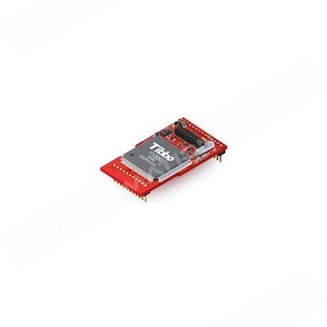 "EM1206-1024K-01 + RJ203-00" - EM1206 module with 1MB of flash memory + Connector RJ203