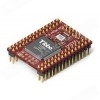 EM1000-1024K-01 - EM1000 module with 1024KBytes of flash memory